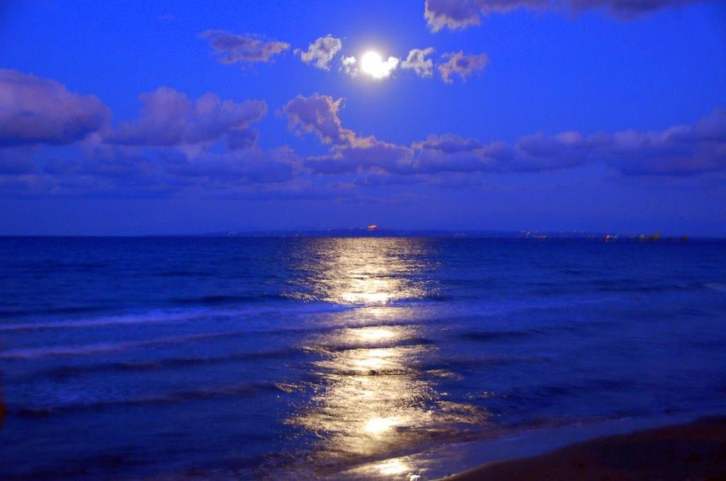 Corali Beach Tsilivi  Bagian luar foto